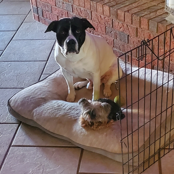 Meet your Posher, Michael - Picture 3 of 9